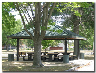 Pavilion #5 at Tri Township Park in Troy, Illinois Available for Rental & Located Close to the Petting Zooo in Illinois
